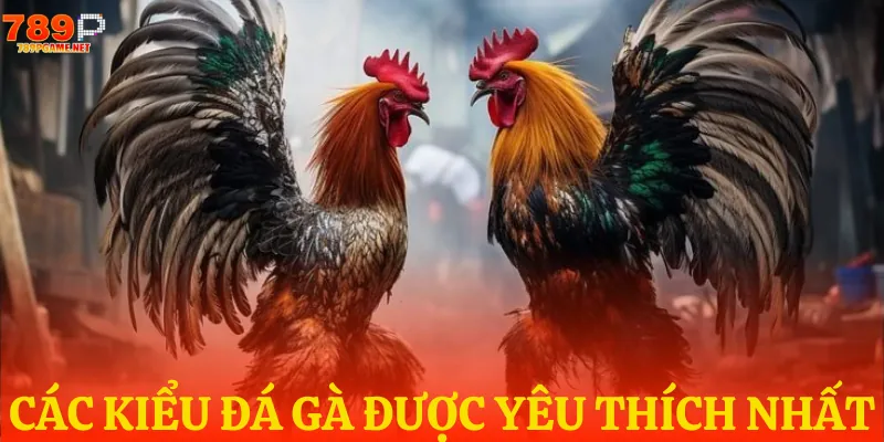 Các hình thức chơi cá độ tại sảnh Các hình thức chơi cá độ tại sảnh
