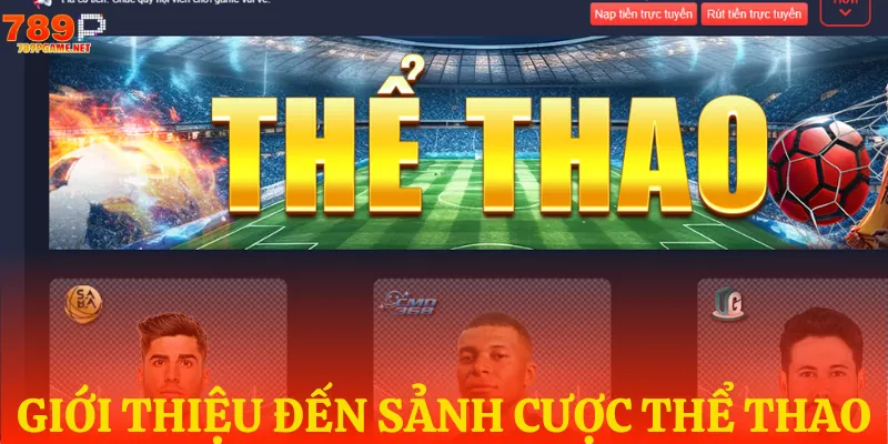 Tổng quan sảnh cược thể thao tại 789P Tổng quan sảnh cược thể thao tại 789P